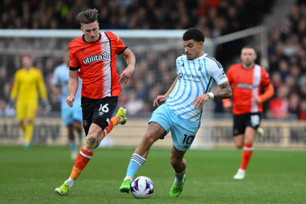 来了更多社 来了更多社